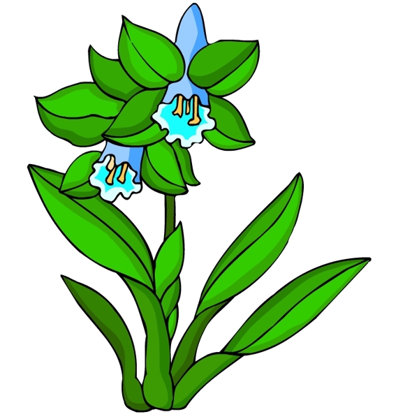 花卉古典插畫