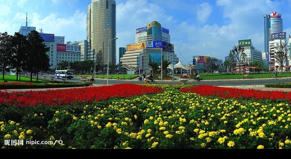 宁波中山路美丽风光图片