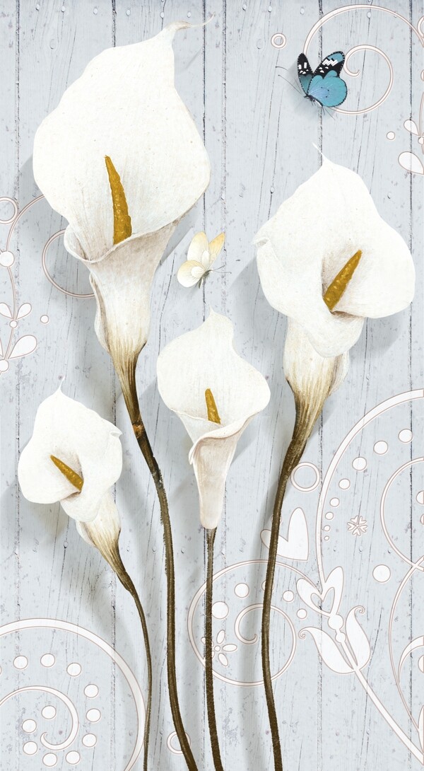 白色花朵马蹄莲玄关背景