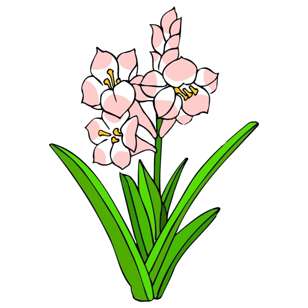花卉古典插畫