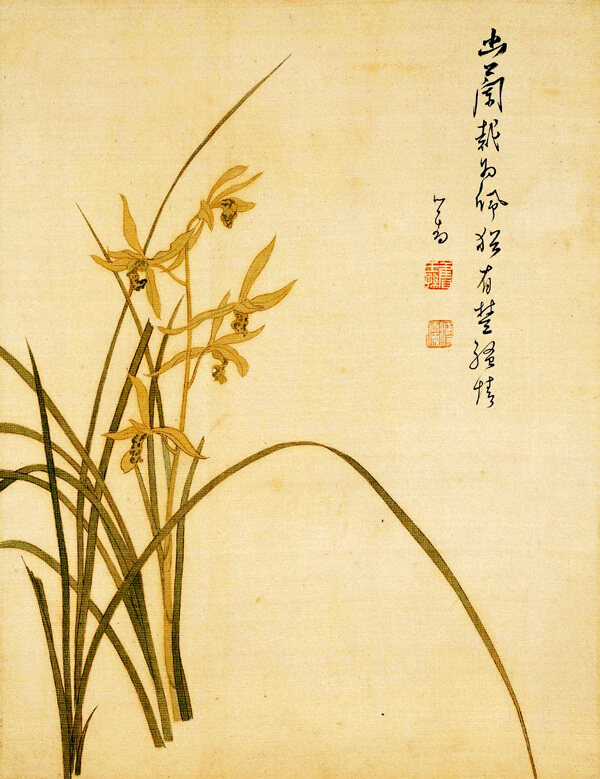 蘭花圖圖片