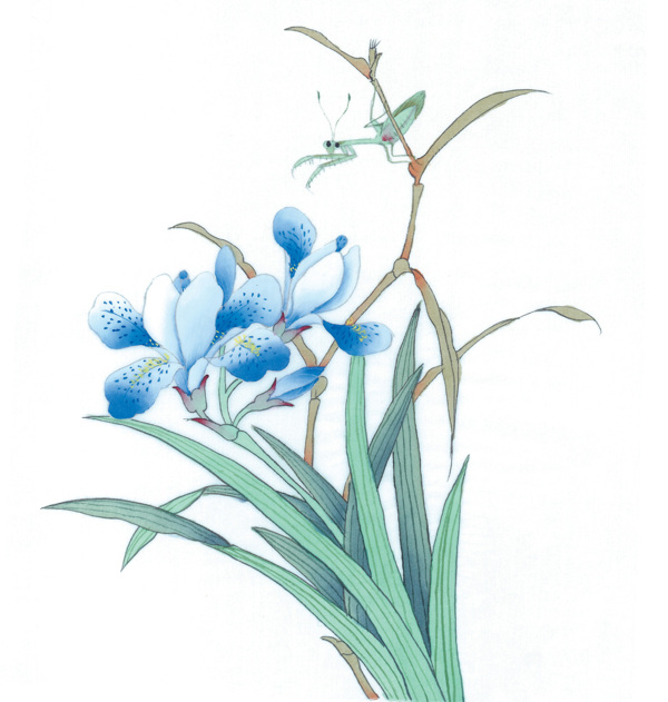 位圖植物花朵君子蘭水彩免費素材