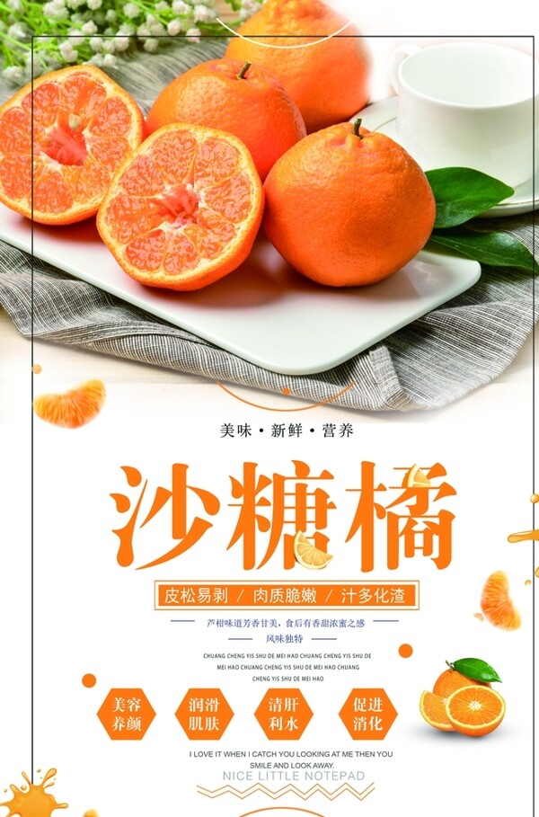 沙糖橘水果海报
