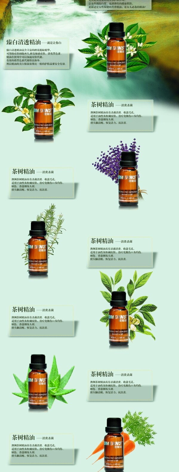 淘寶店鋪裝修