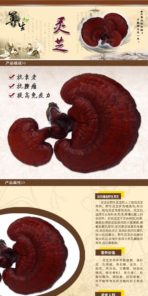 靈芝詳情頁下載