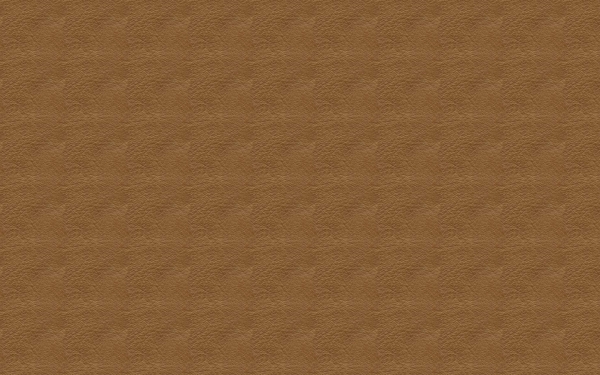 皮革毛皮8