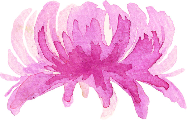 水彩墨菊花花朵圖片素材