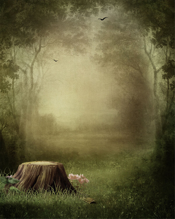 飞鸟仙境树林背景图片
