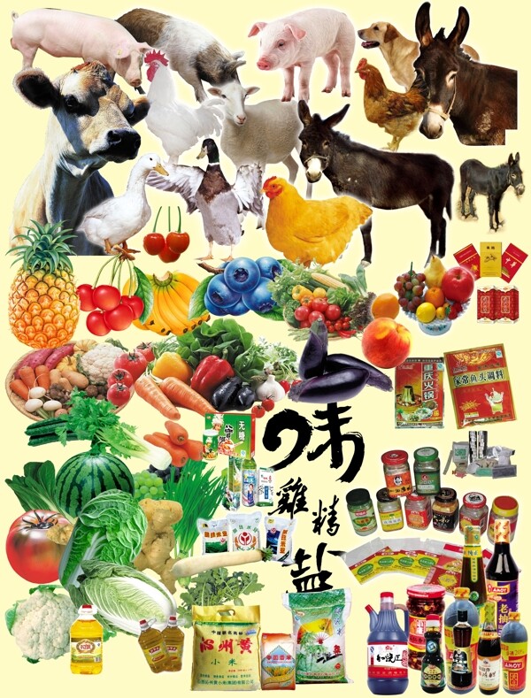 家畜家禽蔬菜水果调料干调超市用品图片