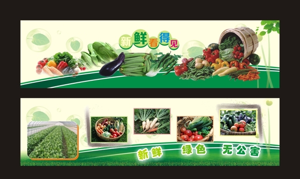 有机蔬菜展板设计