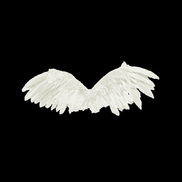 白色翅膀元素