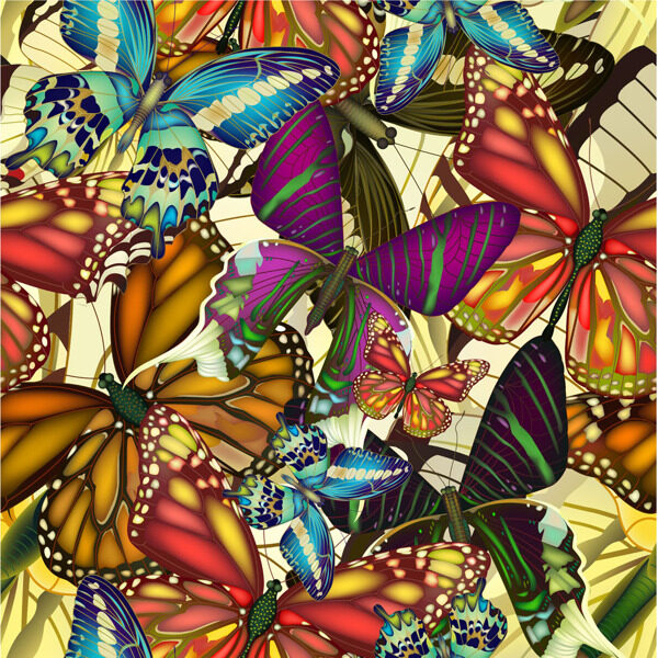美丽蝴蝶背景图片1