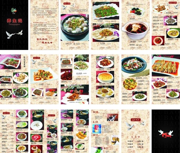 養(yǎng)生鴿鴿子菜譜圖片