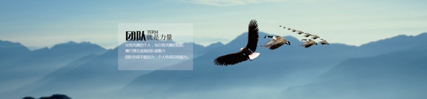 關(guān)于我們