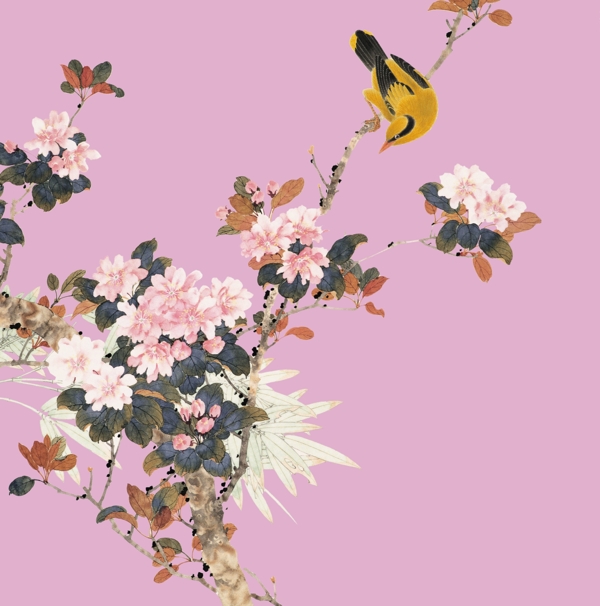 國花花鳥分層圖PS