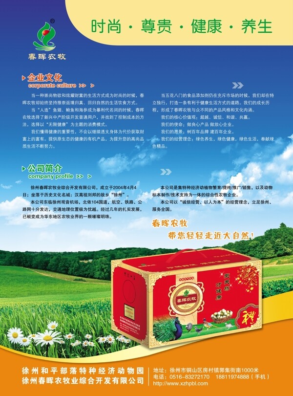 野雞蛋農(nóng)牧宣傳單圖片