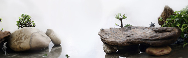 大氣假山風(fēng)景背景