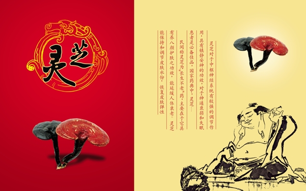 靈芝畫冊設(shè)計(jì)PSD分層模板