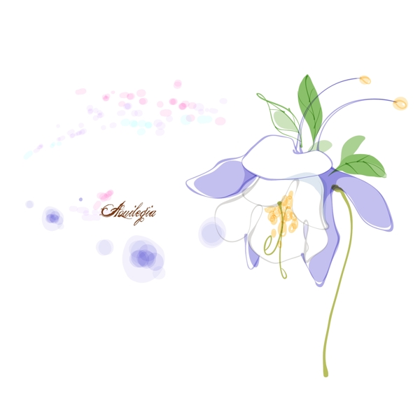 貓爪花