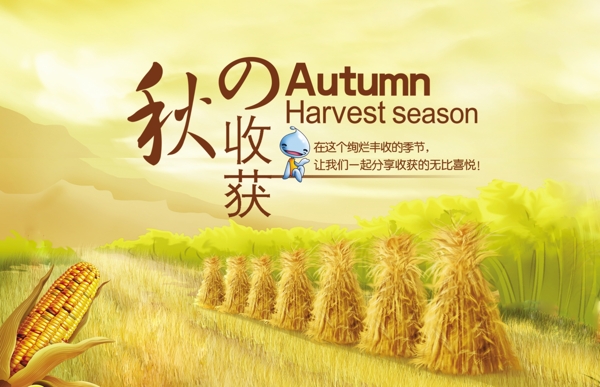 秋季吊板圖片