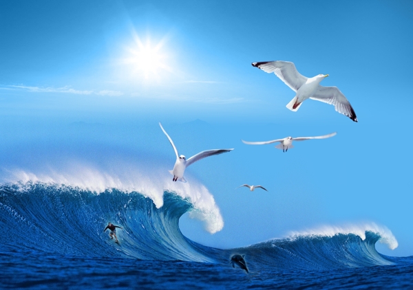 大海浪花蓝天海鸥海边