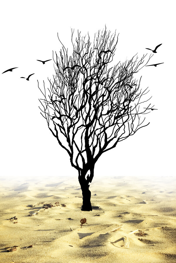 创意荒漠枯树节约用水海报背景素