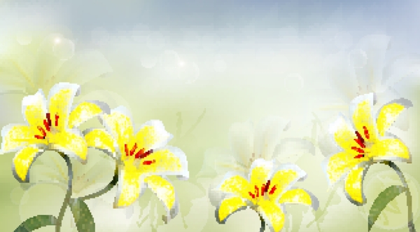 美丽的白色花朵背景矢量02