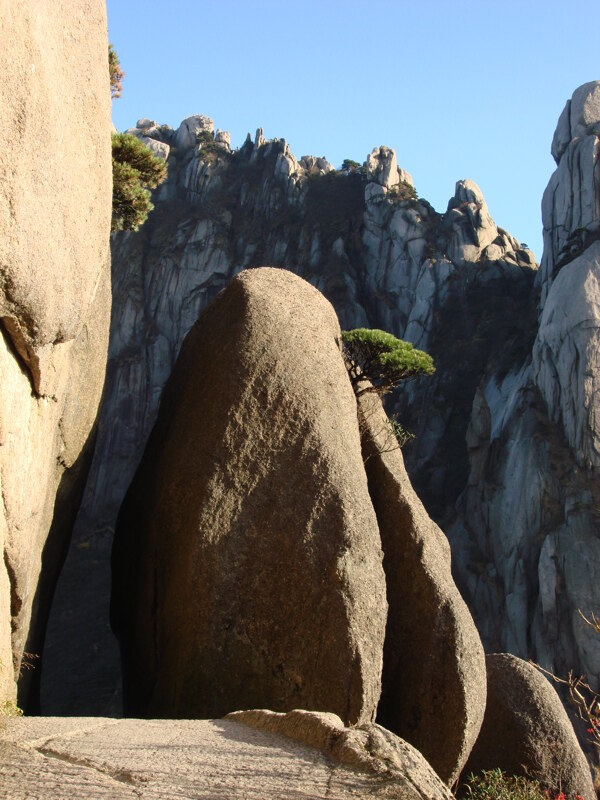 黃山圖片