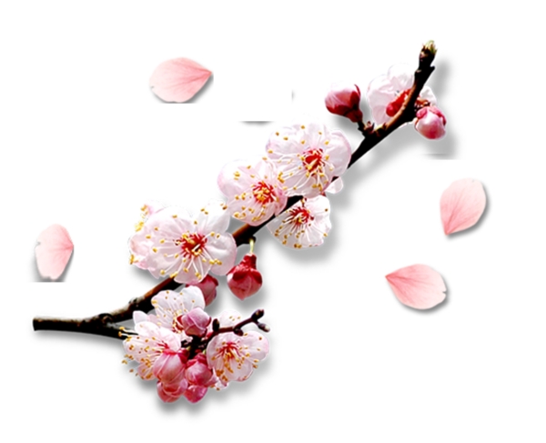 桃花元素