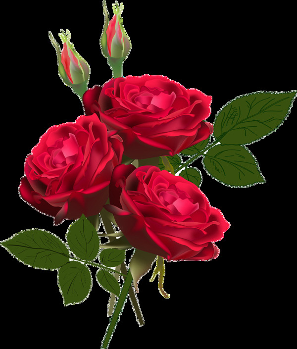 情人节装饰玫瑰花素材
