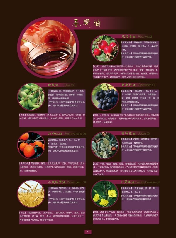 化妝品畫冊精油宣傳冊圖片