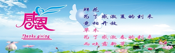 感恩系類展板圖片