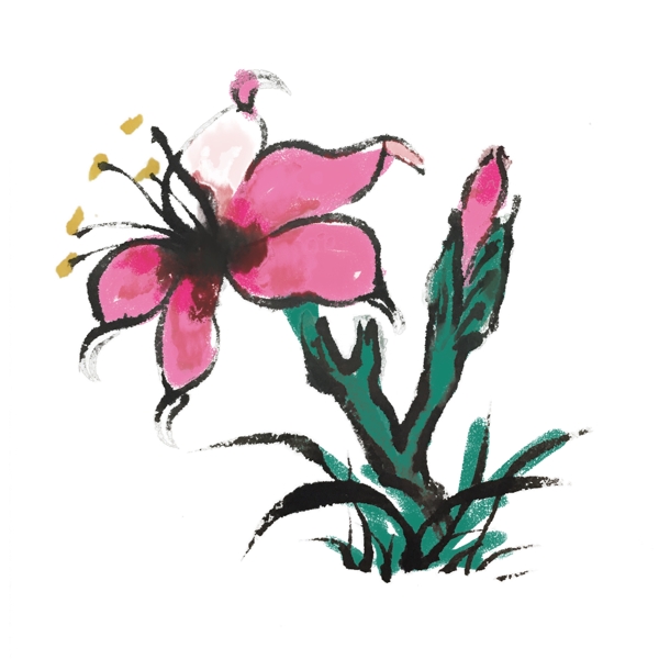 中国风水墨花朵手绘插画