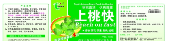 杰翔生物上桃快圖片