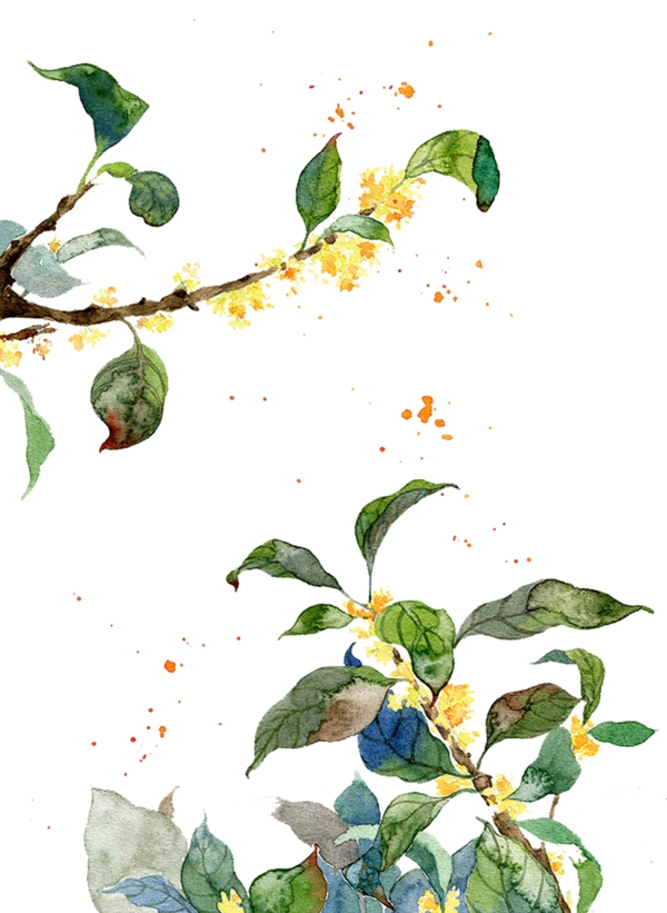 插畫花卉