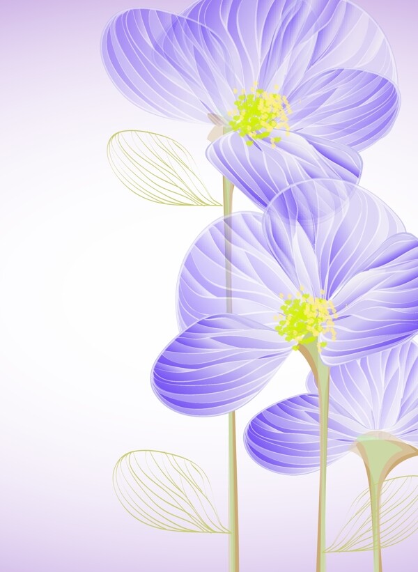 精美紫色花朵素材