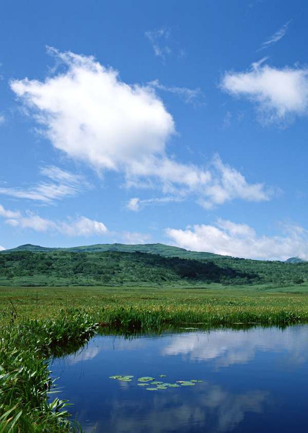藍(lán)天草地