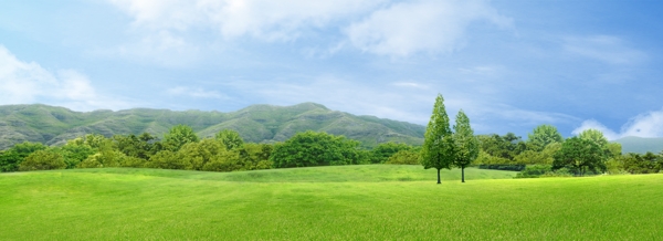 草地风景绿色清新banner