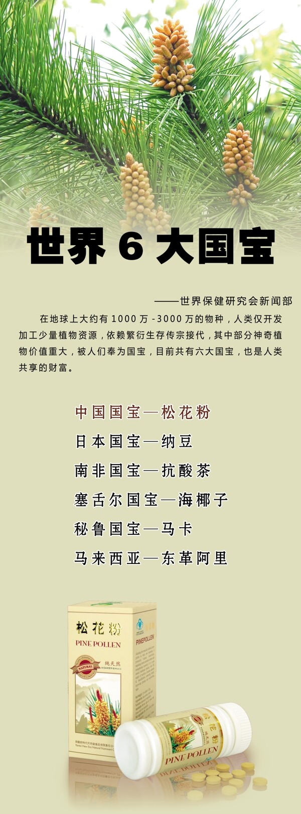 國珍松花粉展板