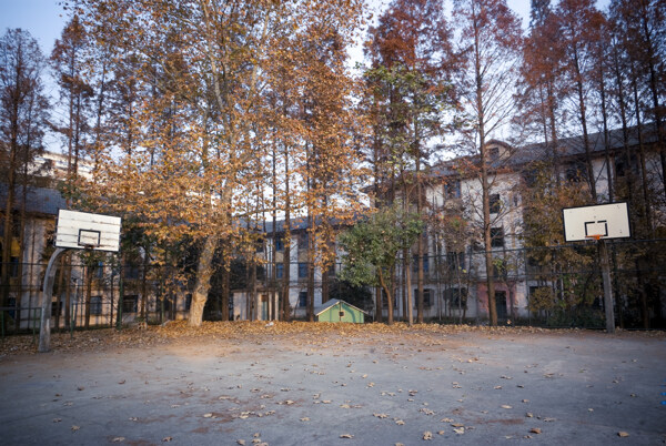 球場(chǎng)圖片