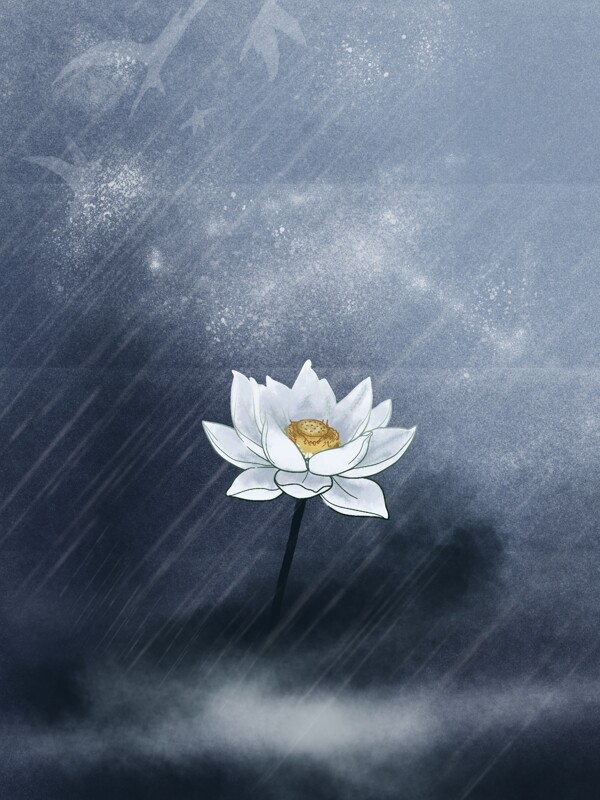 雨夜的一只莲花图片