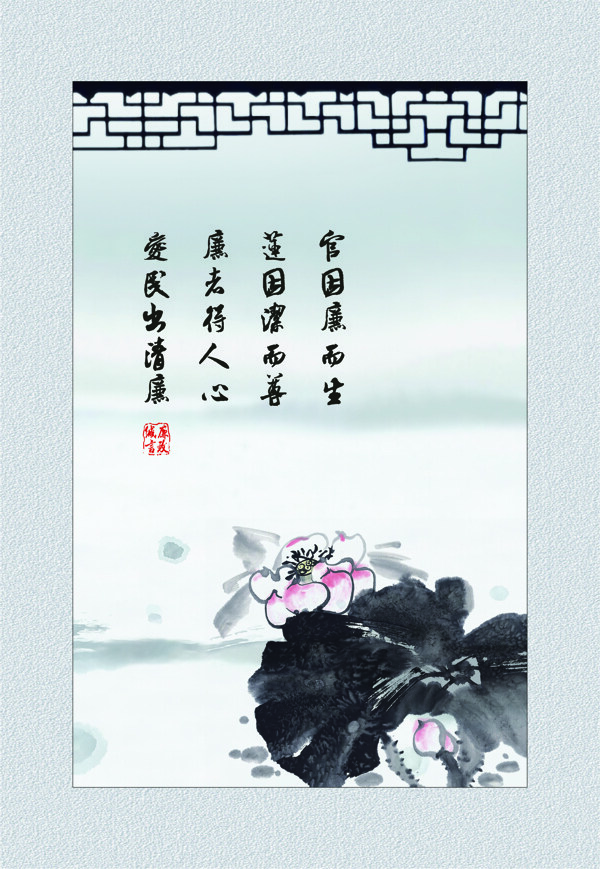 蓮花圖片