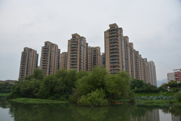 湿地公园边的高楼图片