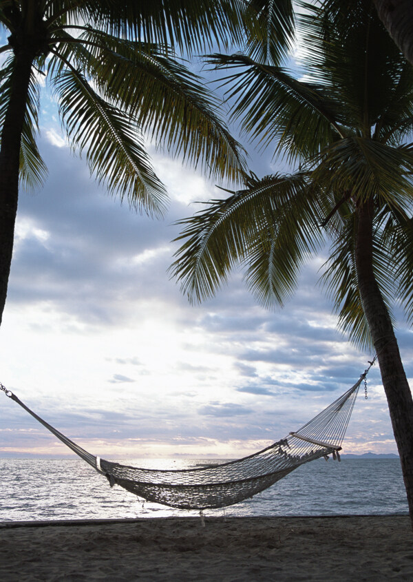 海边椰树上的吊床