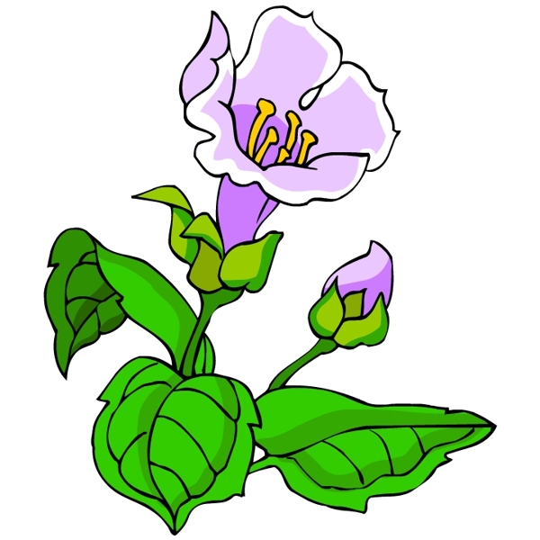 花卉古典插畫(huà)
