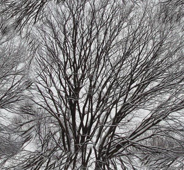 30466自然材質(zhì)冰雪