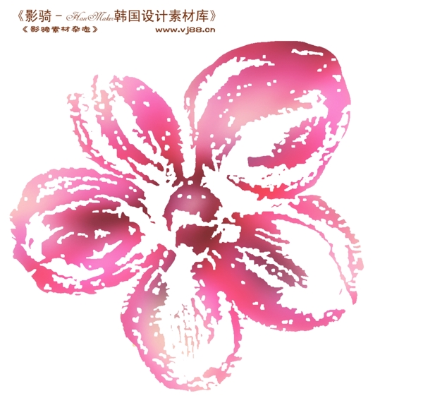 花紋花朵裝飾修飾HanMaker韓國設計素材庫