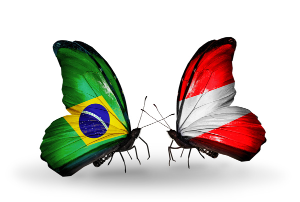 巴西国旗与蝴蝶
