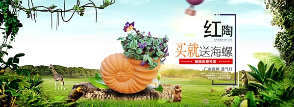 買就送海螺