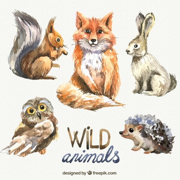 5款水彩绘野生动物矢量素材